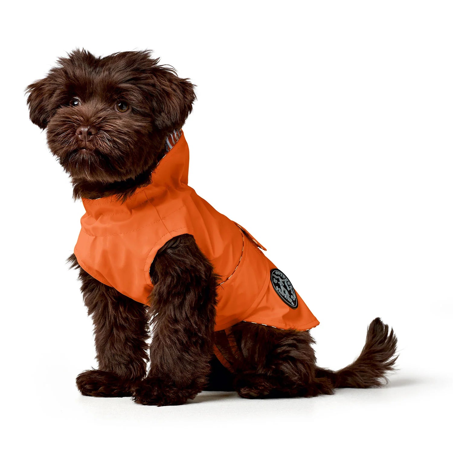 Kleiner brauner Hund trägt einen orangen Regenmantel mit Logo-Patch.