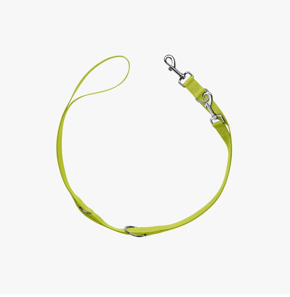 Eine Hundeleine in der Farbe limette rund gelegt 