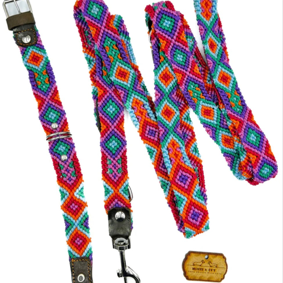 Monti and Ivy, Horizon Hundeleine