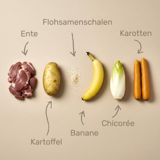 Das gesunde Tier Intesto
