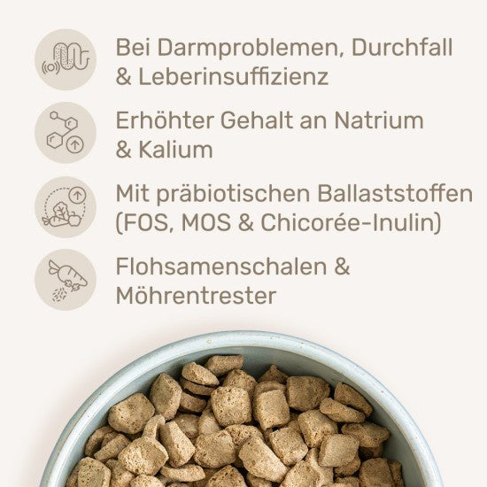 Das gesunde Tier Intesto