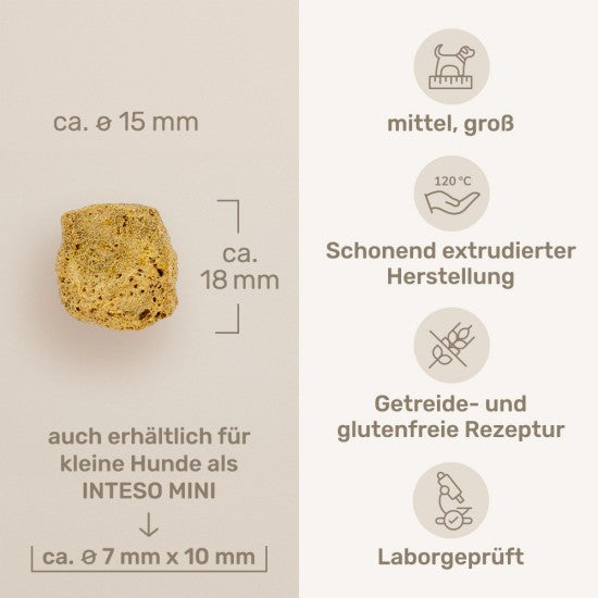 Das gesunde Tier Intesto