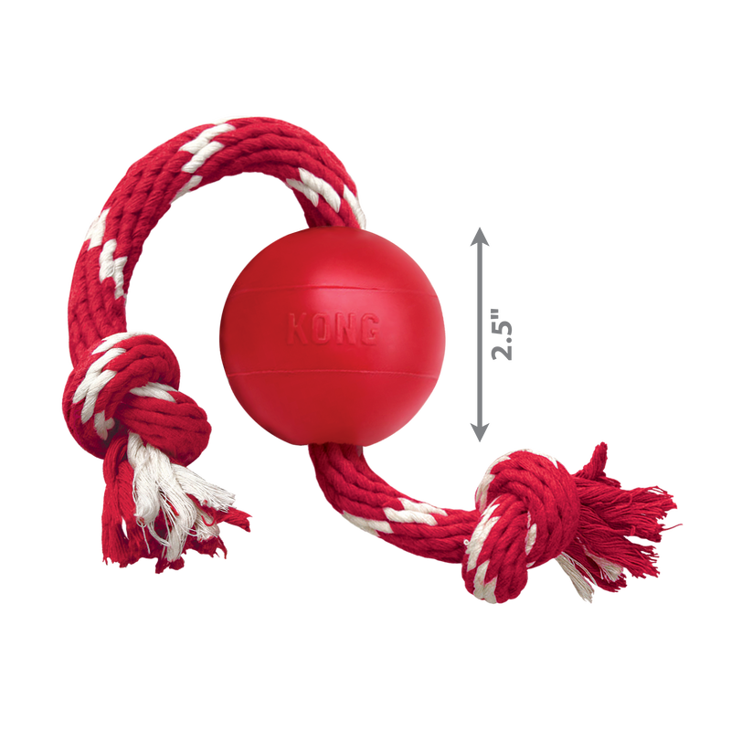 Roter KONG-Ball aus robustem Gummi, kombiniert mit einem roten und weißen Seil mit Knoten – ideales Hundespielzeug zum Zerren, Werfen und Apportieren.