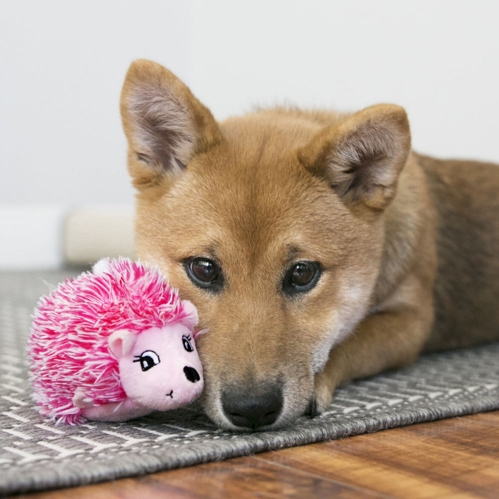 Hund liegt auf dem Boden und spielt mit einem kleinen rosa Plüsch-Igel Hundespielzeug.
