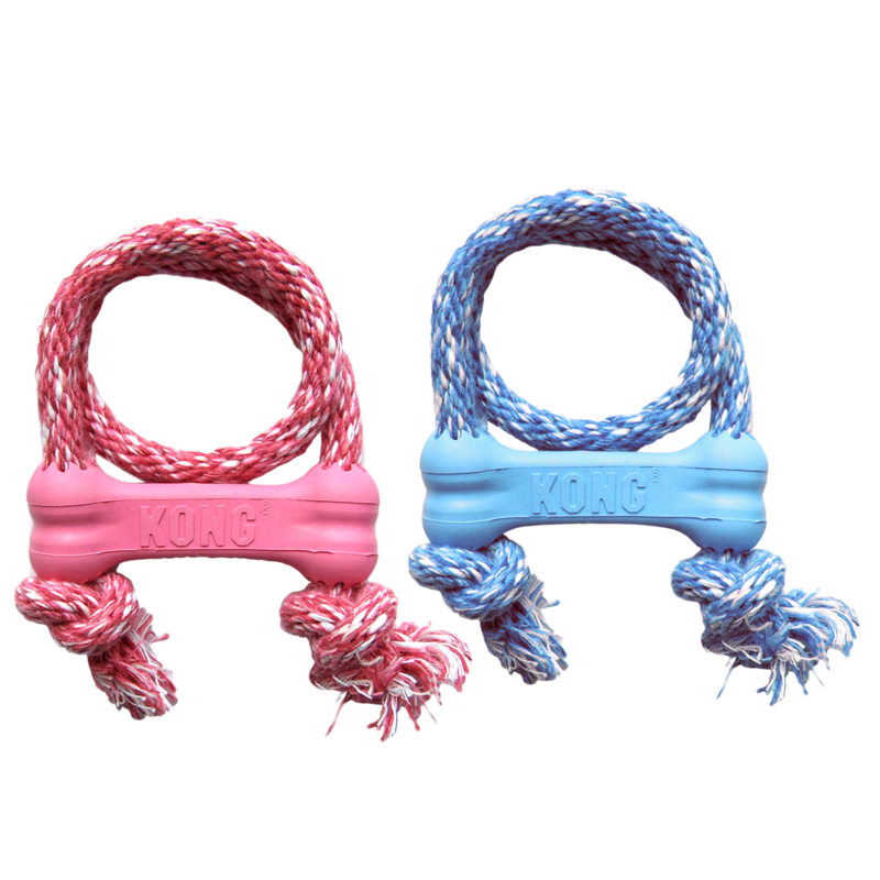 Zwei robuste KONG Hundespielzeuge aus Seil und Gummi in Rot und Blau auf transparentem Hintergrund
