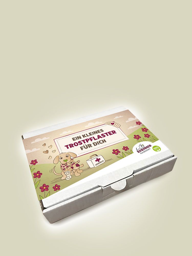 Geschenkbox mit Aufdruck ‚Ein kleines Trostpflaster für dich‘, verziert mit einer Illustration eines kleinen verletzten Hundes, der einen  Stofftierhund im Arm hat; umgeben von Blumen und einem Erste-Hilfe-Koffer, Marke Keksdieb