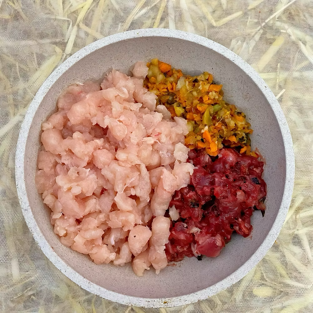 Lamm Mix gewolft von Lottchens Liebe in einer Schale – frisches BARF-Rohfutter aus Lammfleisch mit Gemüse für Hunde
