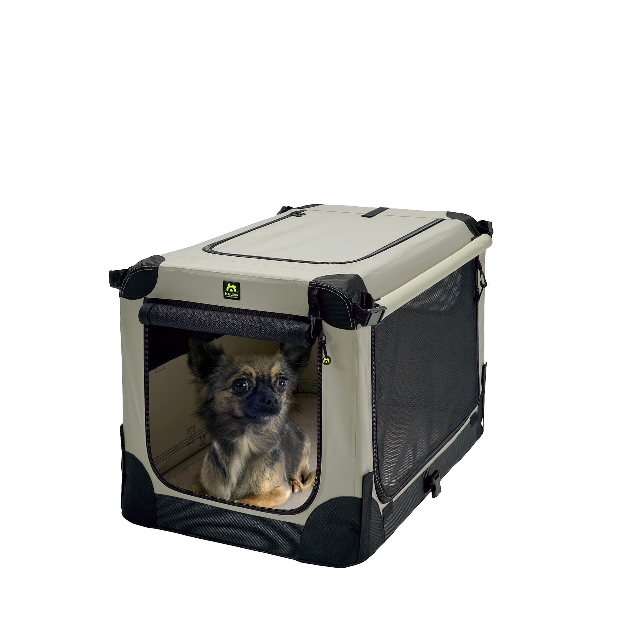 Maelson Soft Kennel Faltbox für Hunde – robuste, faltbare Transportbox mit Mesh-Fenstern und kleinem Hund im Inneren