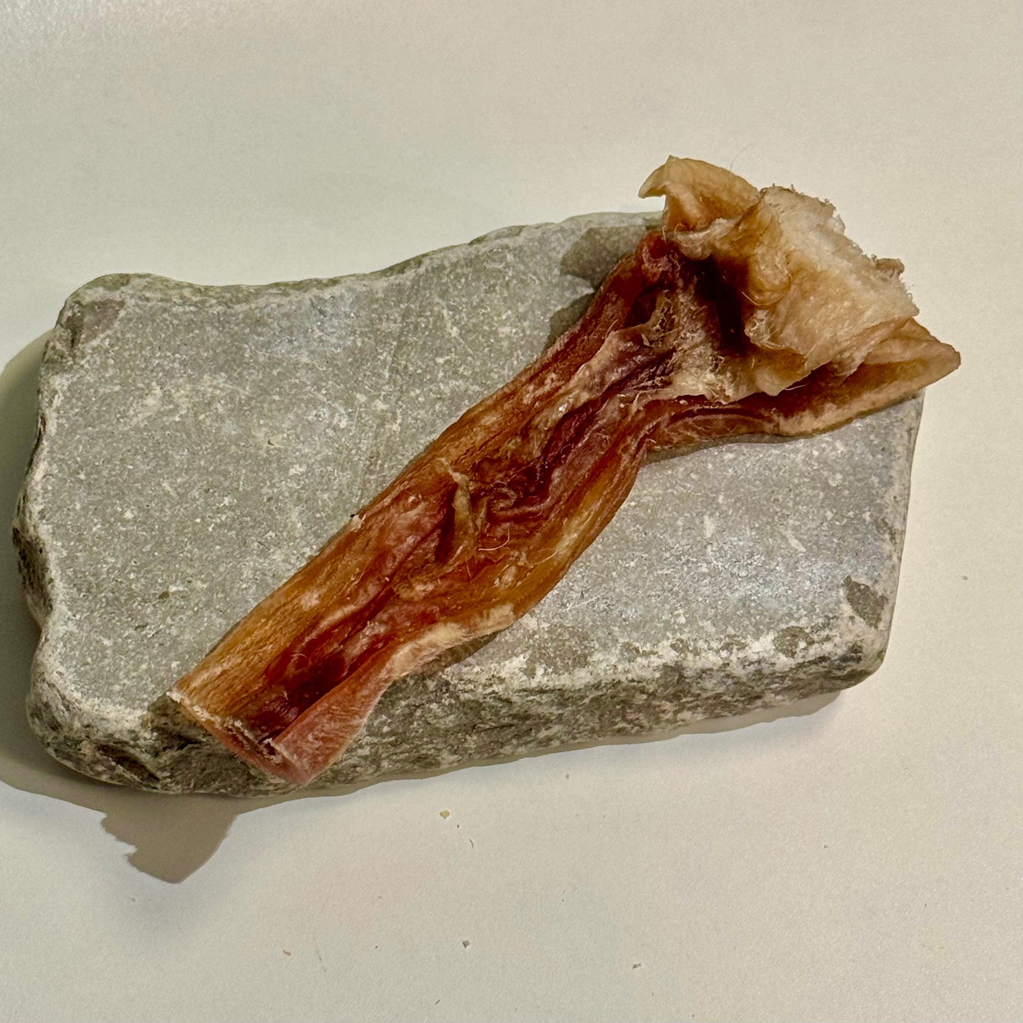 Kleine Stücke Rinderkopfhaut von der Firma Mein Liebling(s) Hund 