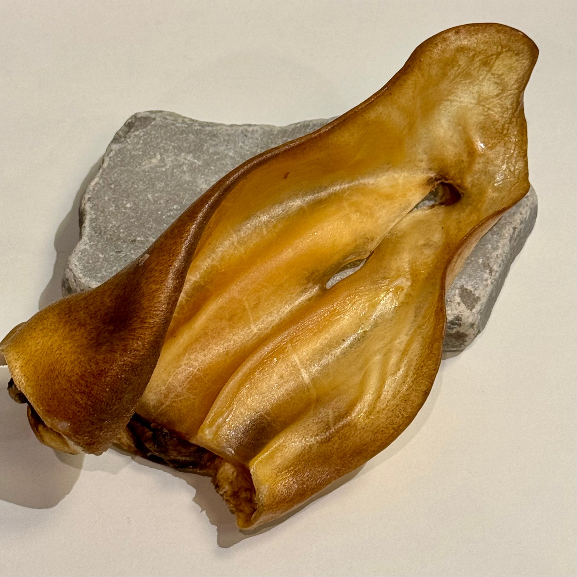 Kauartikel Rinderohren von der Firma Mein Liebling(s) Hund 