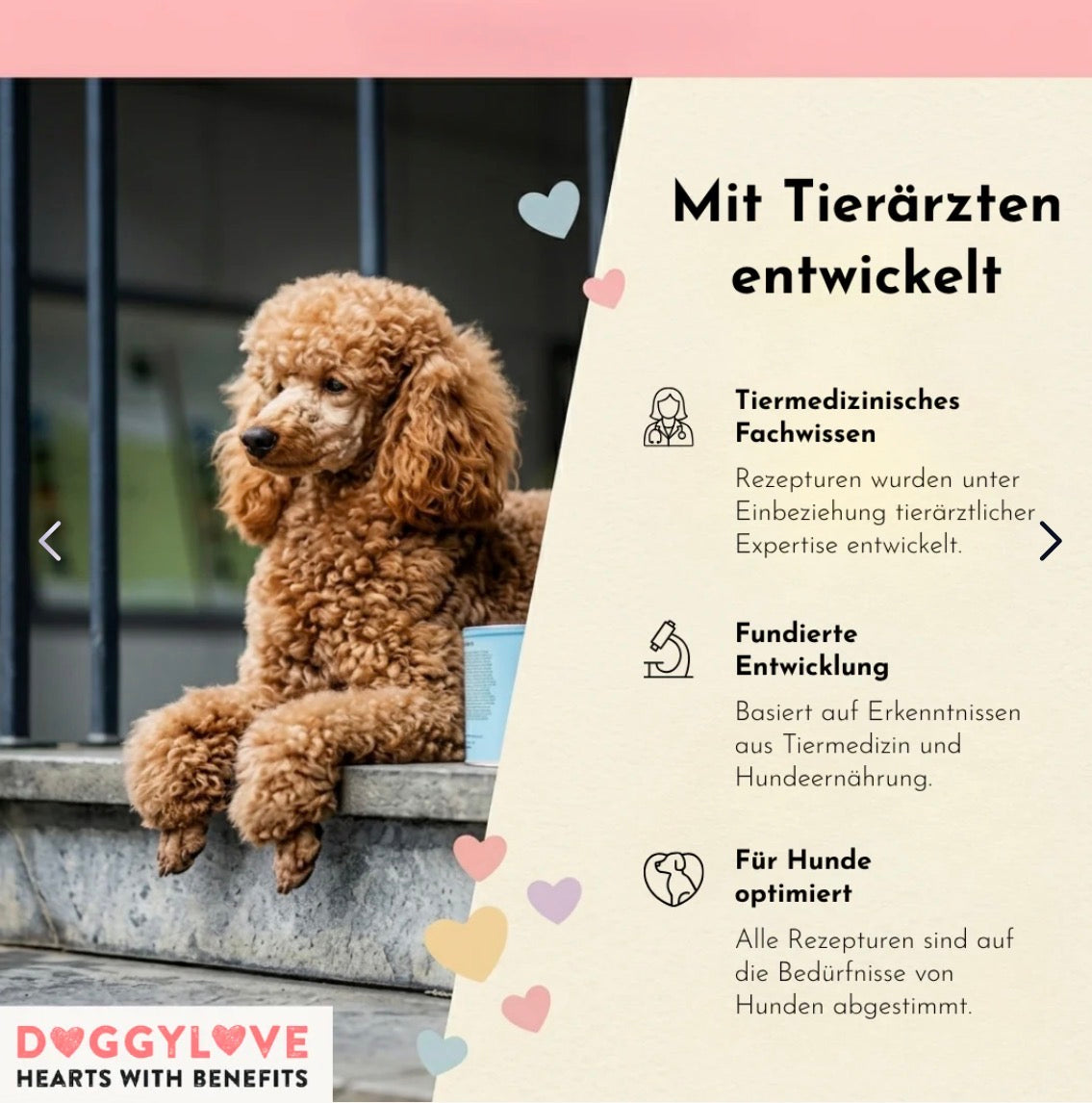 Mit Tierärzte entwickelt 