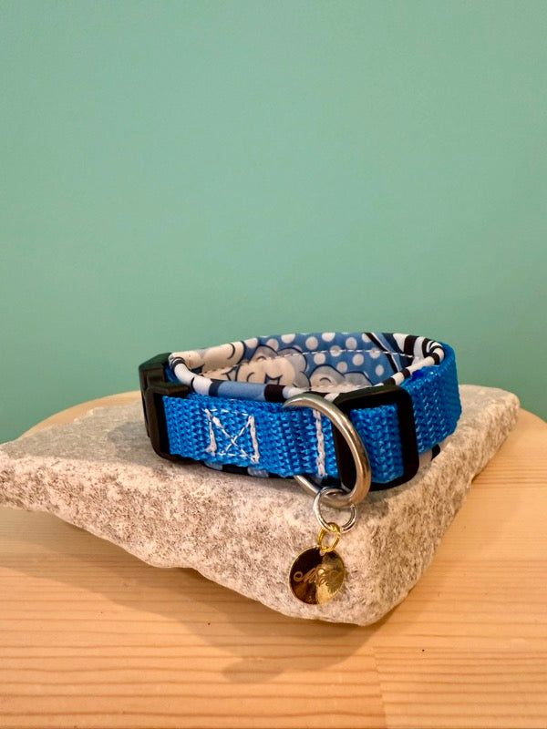 Blaues Hundehalsband mit weißen Punkten, schwarzem Klickverschluss und silbernem D-Ring auf Steinplatte vor grünem Hintergrund