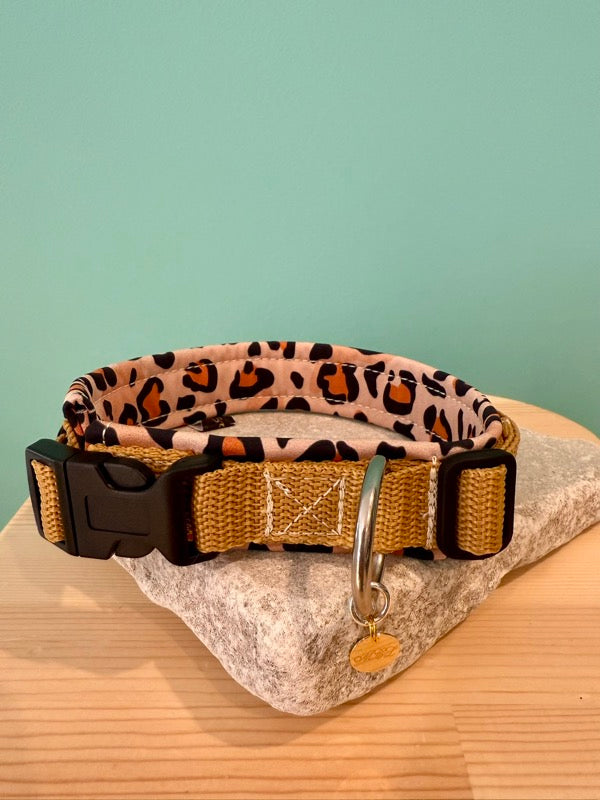 Leopard-gemustertes  Hundehalsband mit weißen Punkten, schwarzem Klickverschluss und silbernem D-Ring auf Steinplatte vor grünem Hintergrund