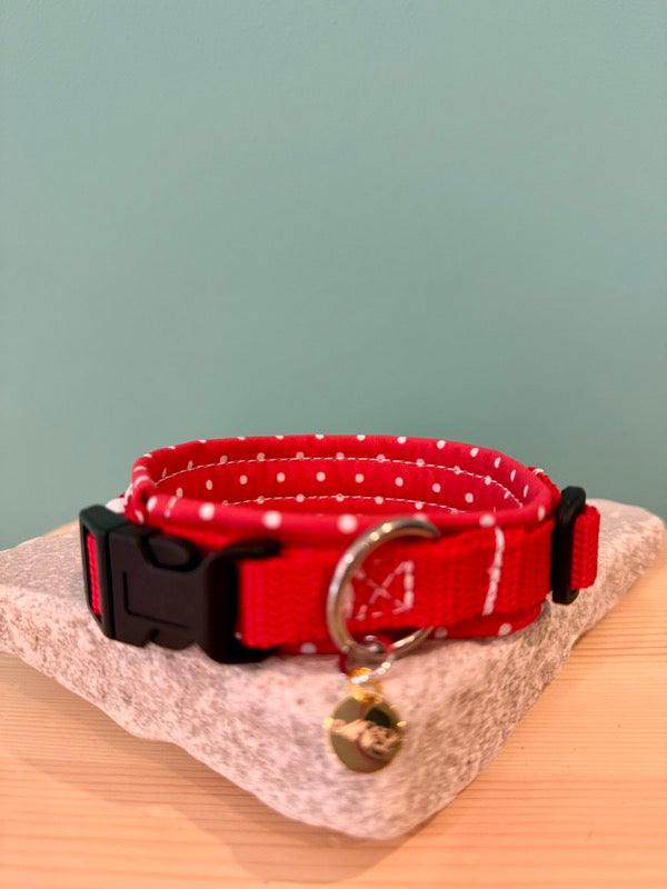 Rotes Hundehalsband mit weißen Punkten, schwarzem Klickverschluss und silbernem D-Ring auf Steinplatte vor grünem Hintergrund