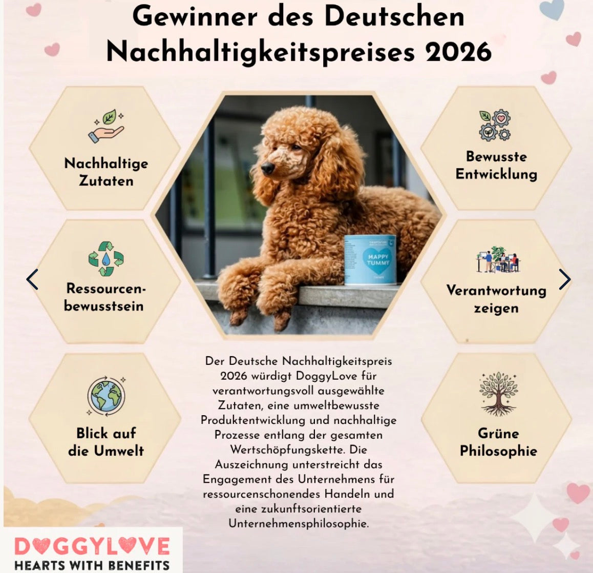 Nachhaltigkeitspreis von Doggylove 