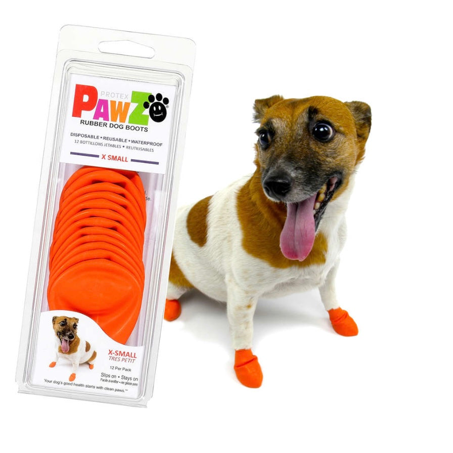 Kleiner braun-weißer Hund trägt orange PawZ Gummi-Hundestiefel, daneben Verpackung der PawZ Rubber Dog Boots in Größe X-Small