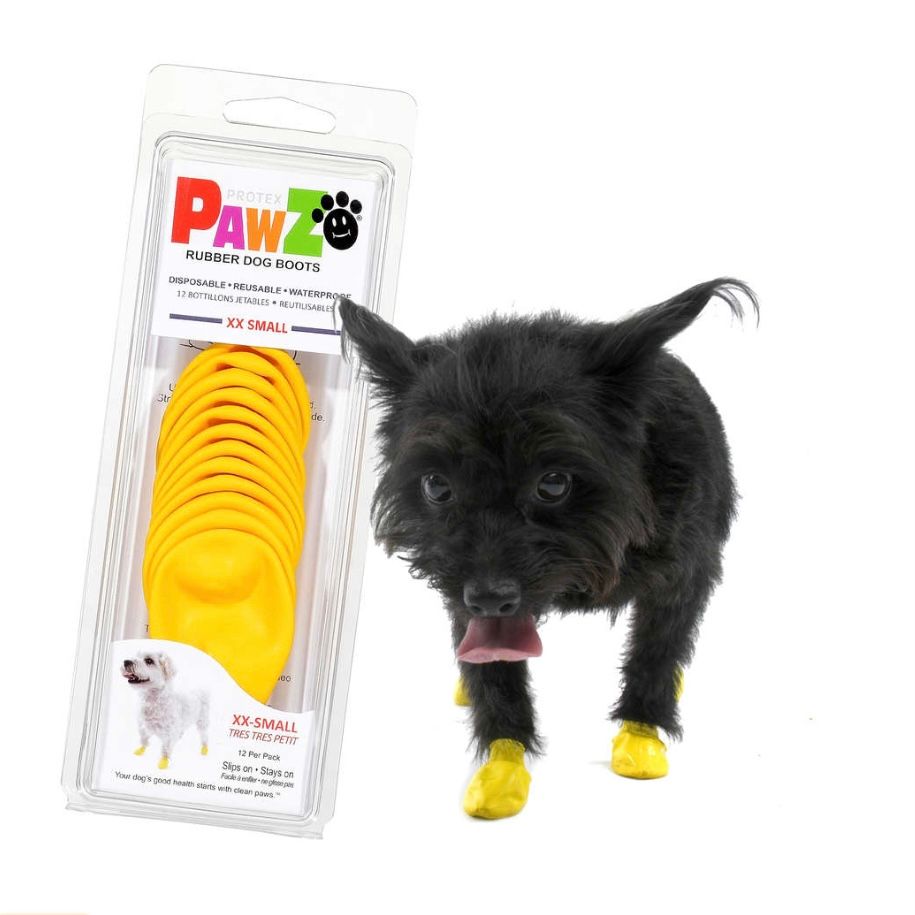 Kleiner schwarzer Hund trägt gelbe PawZ Gummi-Hundestiefel, daneben  Verpackung der PawZ Rubber Dog Boots in Größe X-Small