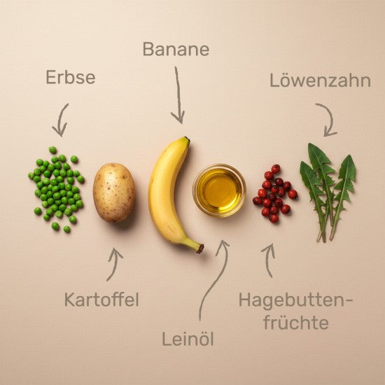 Das gesunde Tier Planta