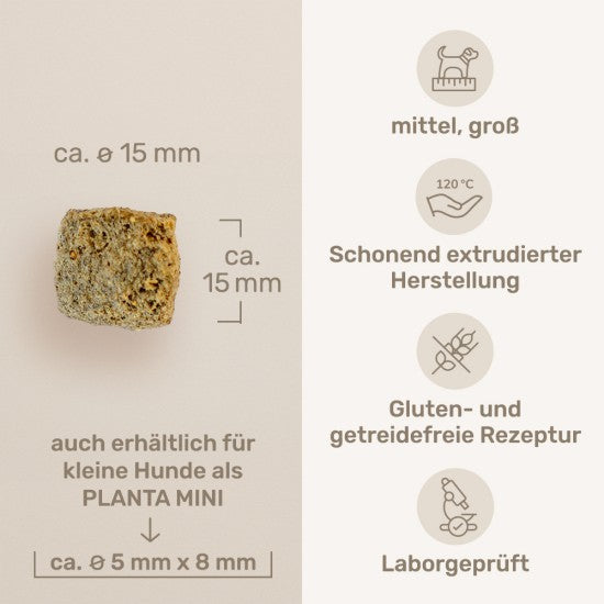 Das gesunde Tier Planta