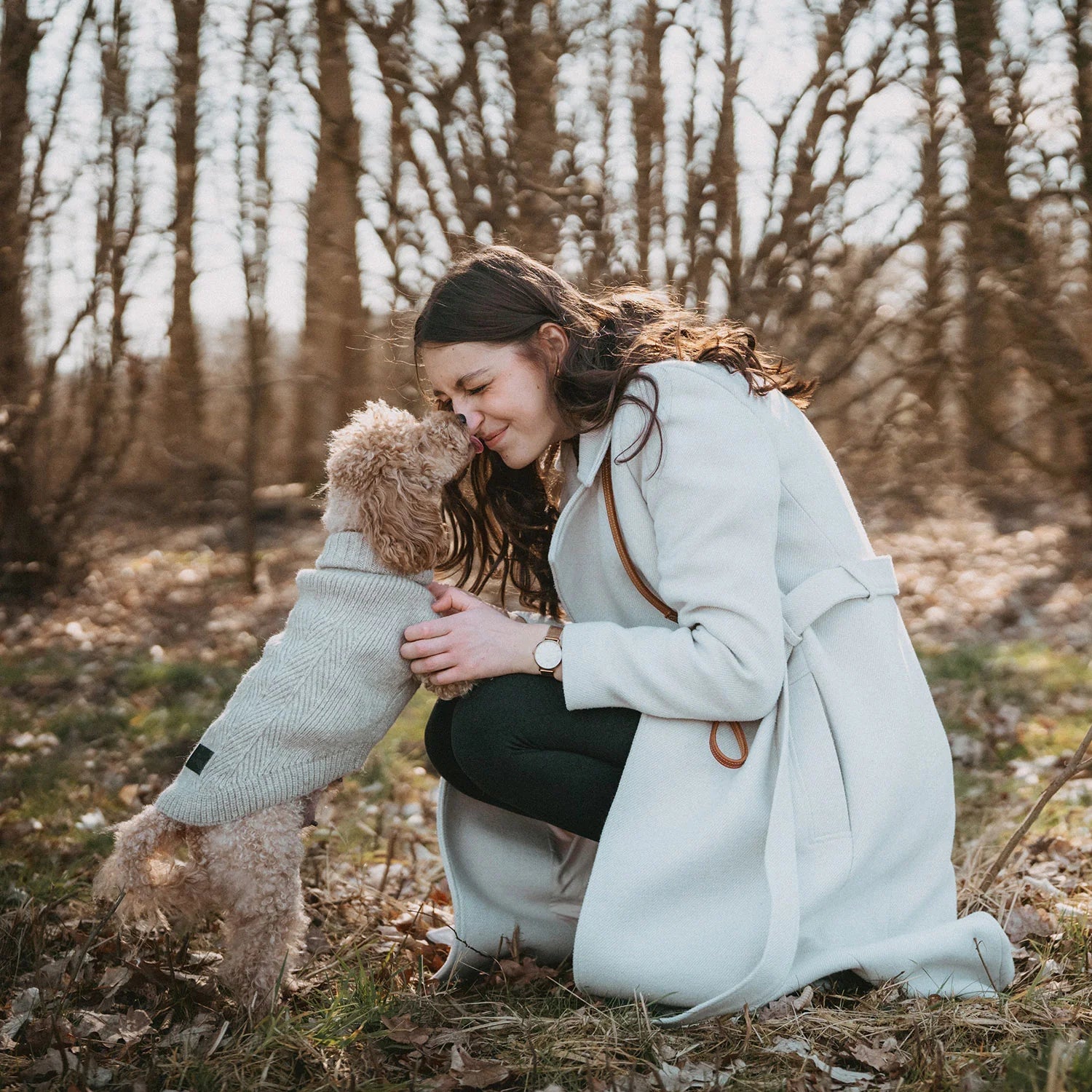 Pudel mit Hunter Pullover Genf in beige vor hockender Frau im Herbstwald
