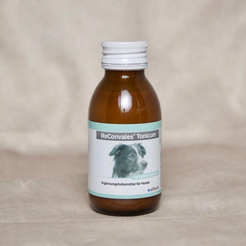 Braune Flasche Reconvales Tonicum von Alfavet, flüssiges Ergänzungsfuttermittel für Hunde 