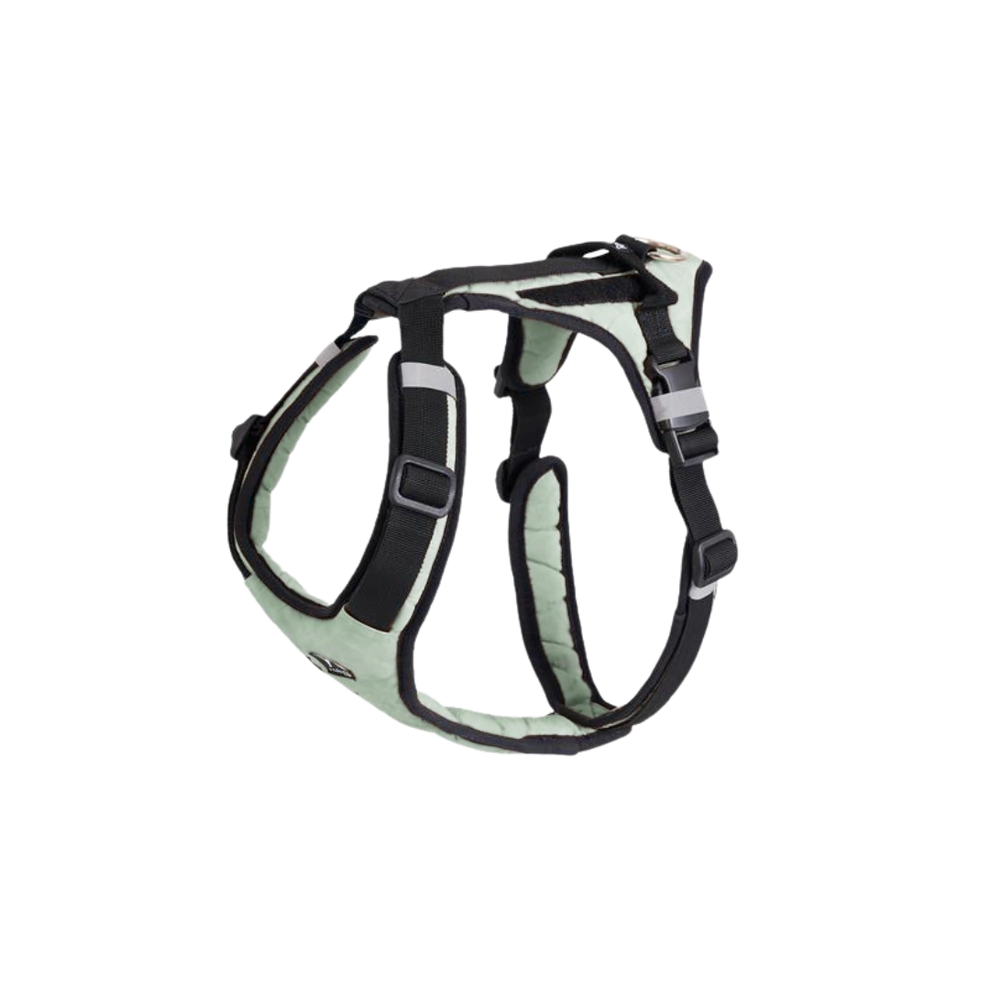 Hundegeschirr in MIntgrün von Redoggo
