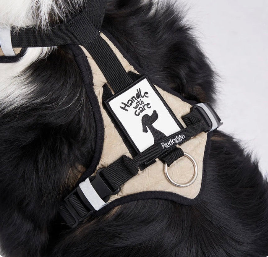 Schwarzer Hund trägt ein beiges Geschirr mit schwarzem Gurtband und einem Patch mit der Aufschrift „Handle with care“
