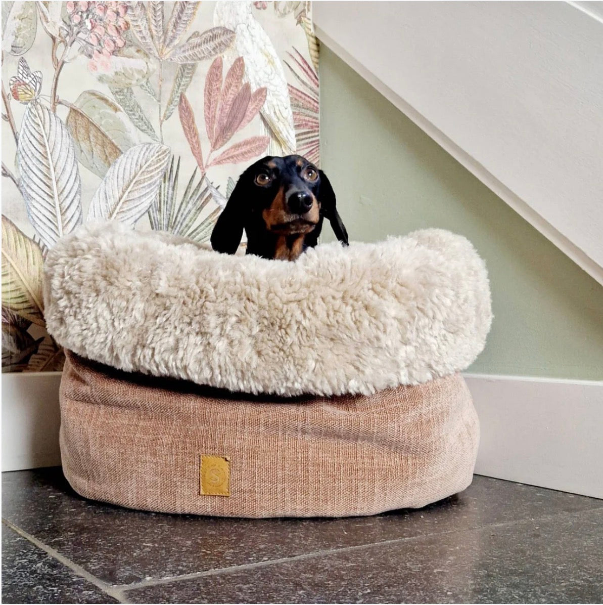 Eine Hundebett in Altrosa  die mit einem Dackel ist 