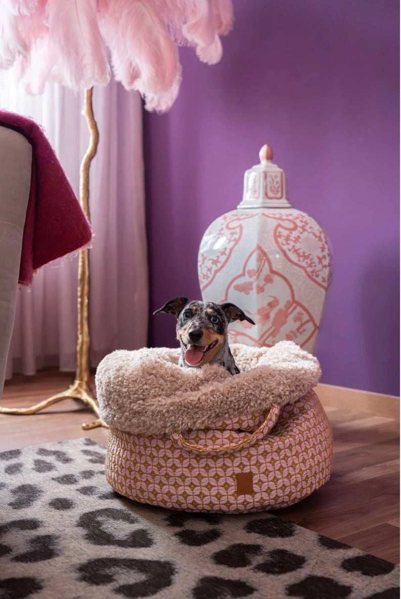 Einen Hundebett in der Farbe Altrosa und Goldmuster mit einem Hund drin im Wohnzimmer 