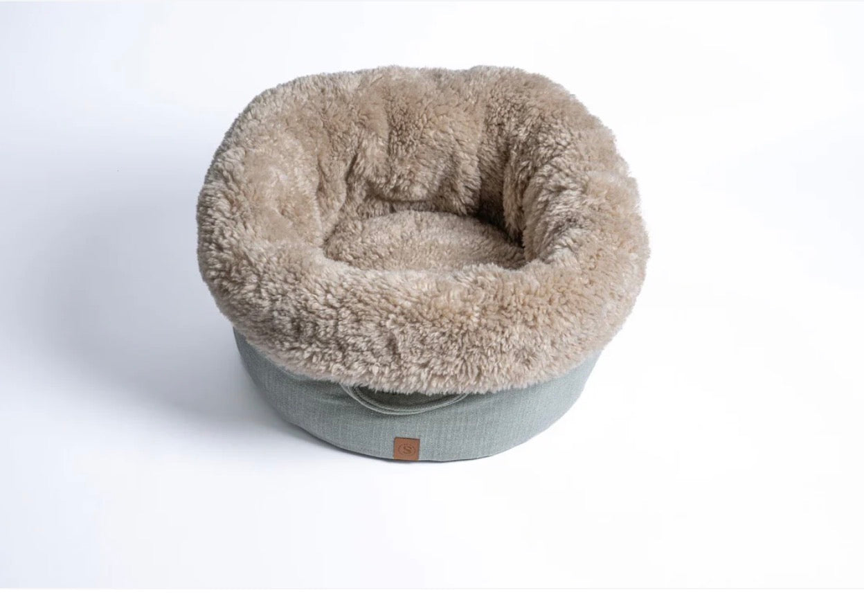 Eine Hundebett in der Farbe Mint von oben fotografiert 