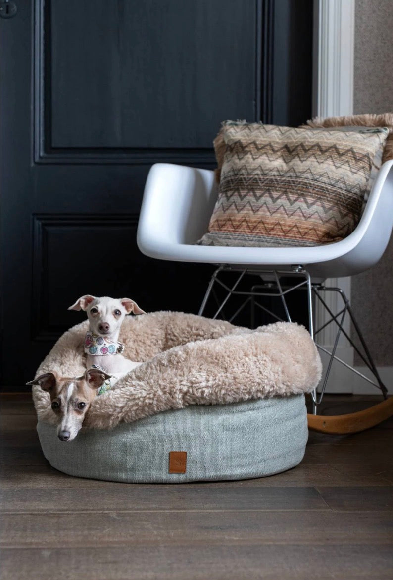 Eine Hundebett in der Farbe Mint mit zwei Hunde drin im Wohnzimmer 