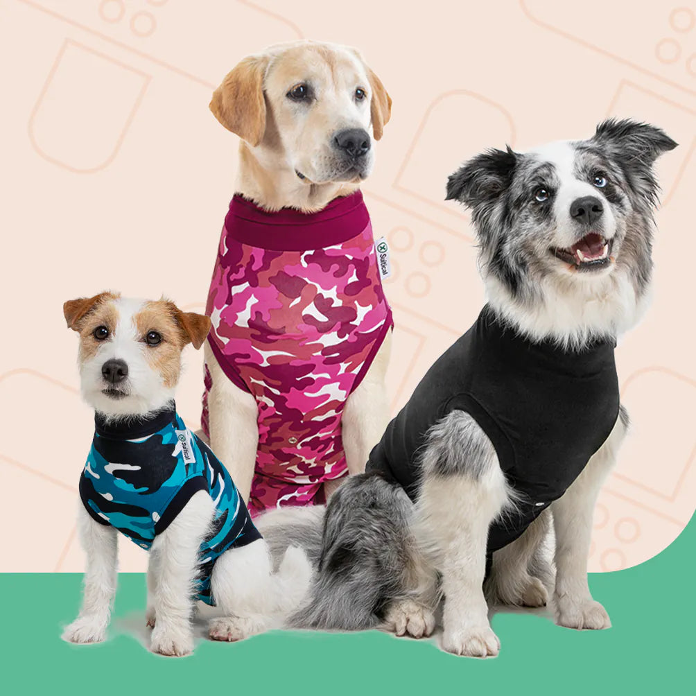 Drei Hunde mit Suitical Pullovern in blau Camouflage, rot Camouflage und Schwarz.