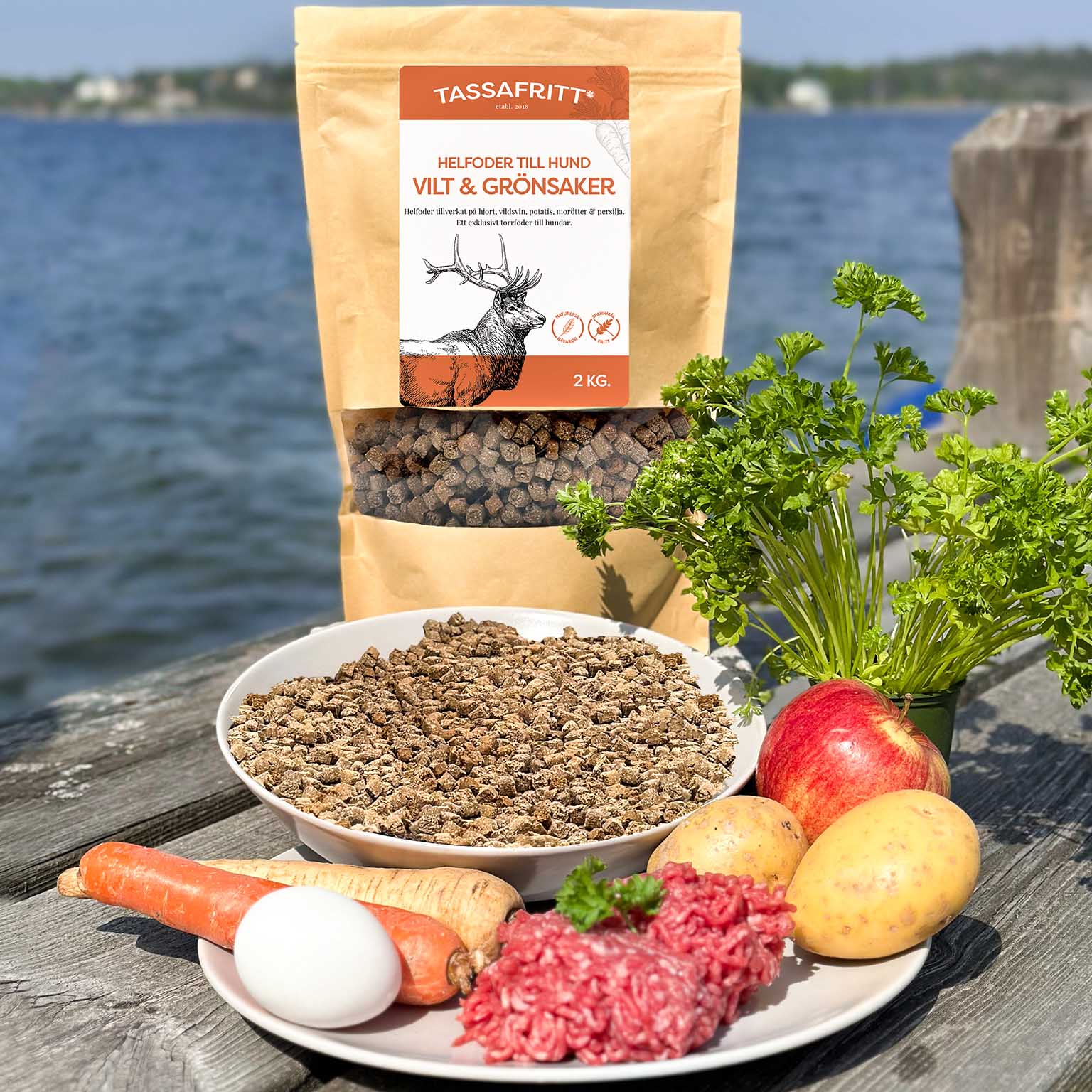Tüte mit Trockenfutter für Hunde. Dekorativ präsentiert vor Teller mit Obst und Gemüse vor einem maritimen Hintergrund