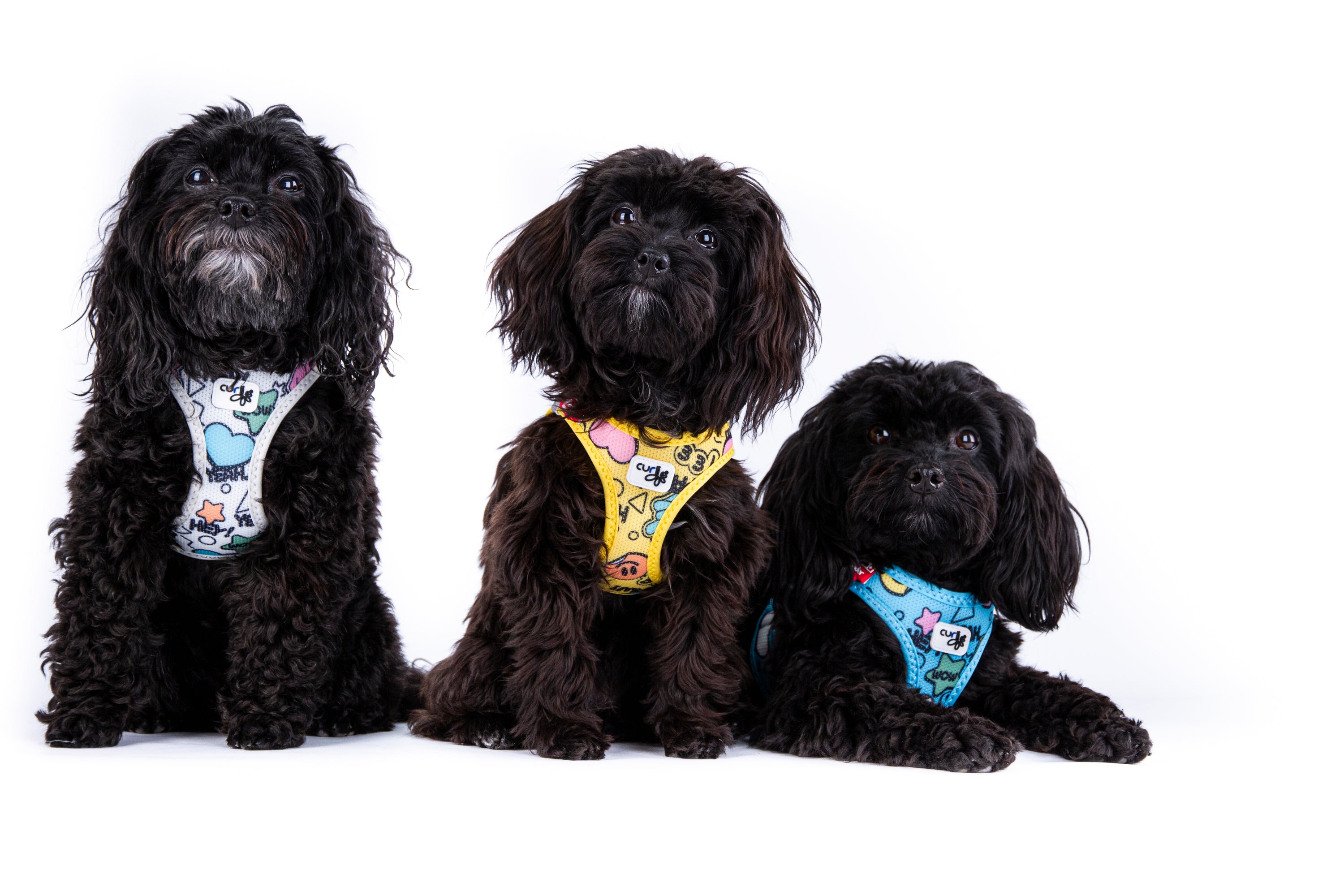 Curli Geschirr Clasp Air Mesh  Comic LE25