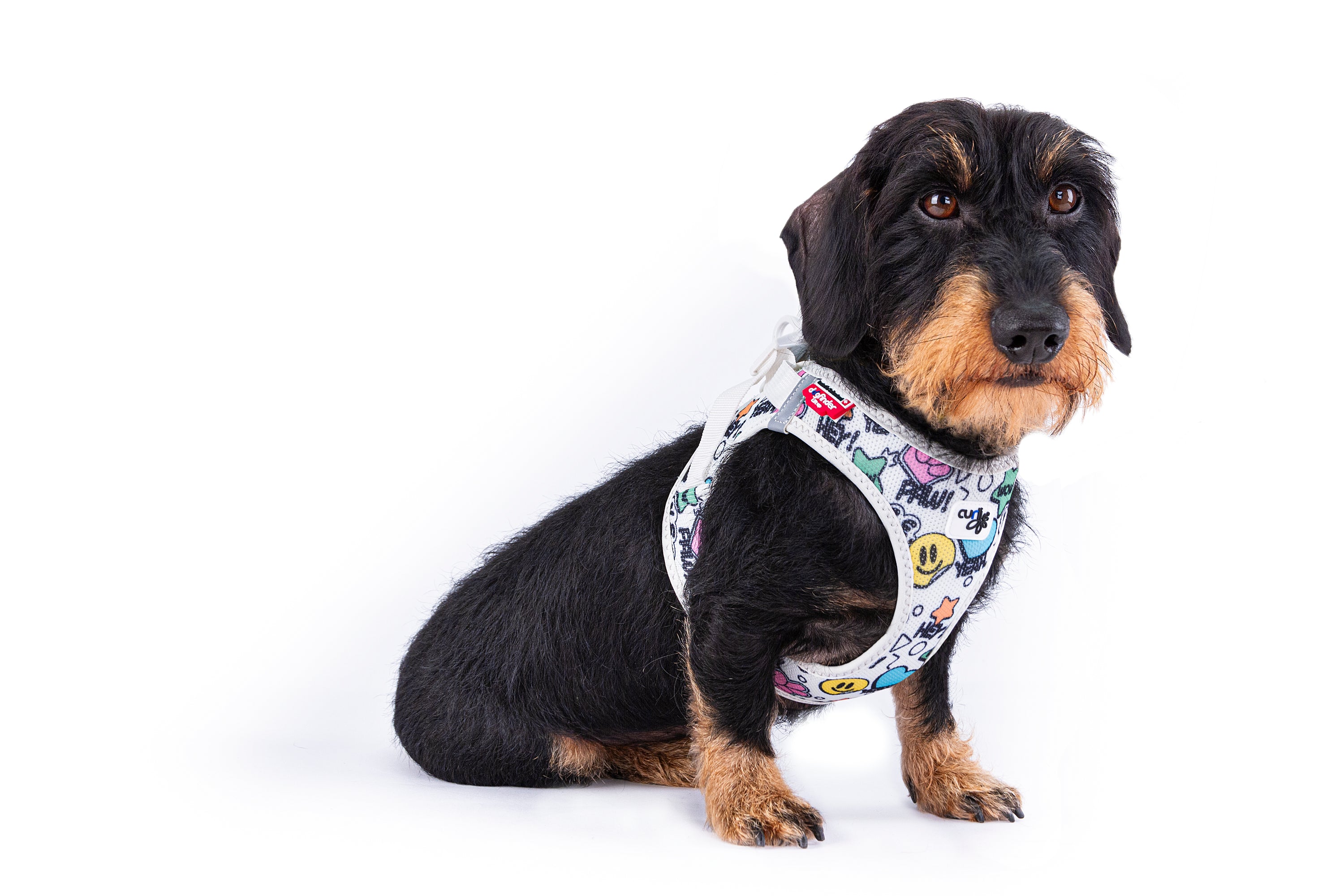 Curli Geschirr Clasp Air Mesh  Comic LE25