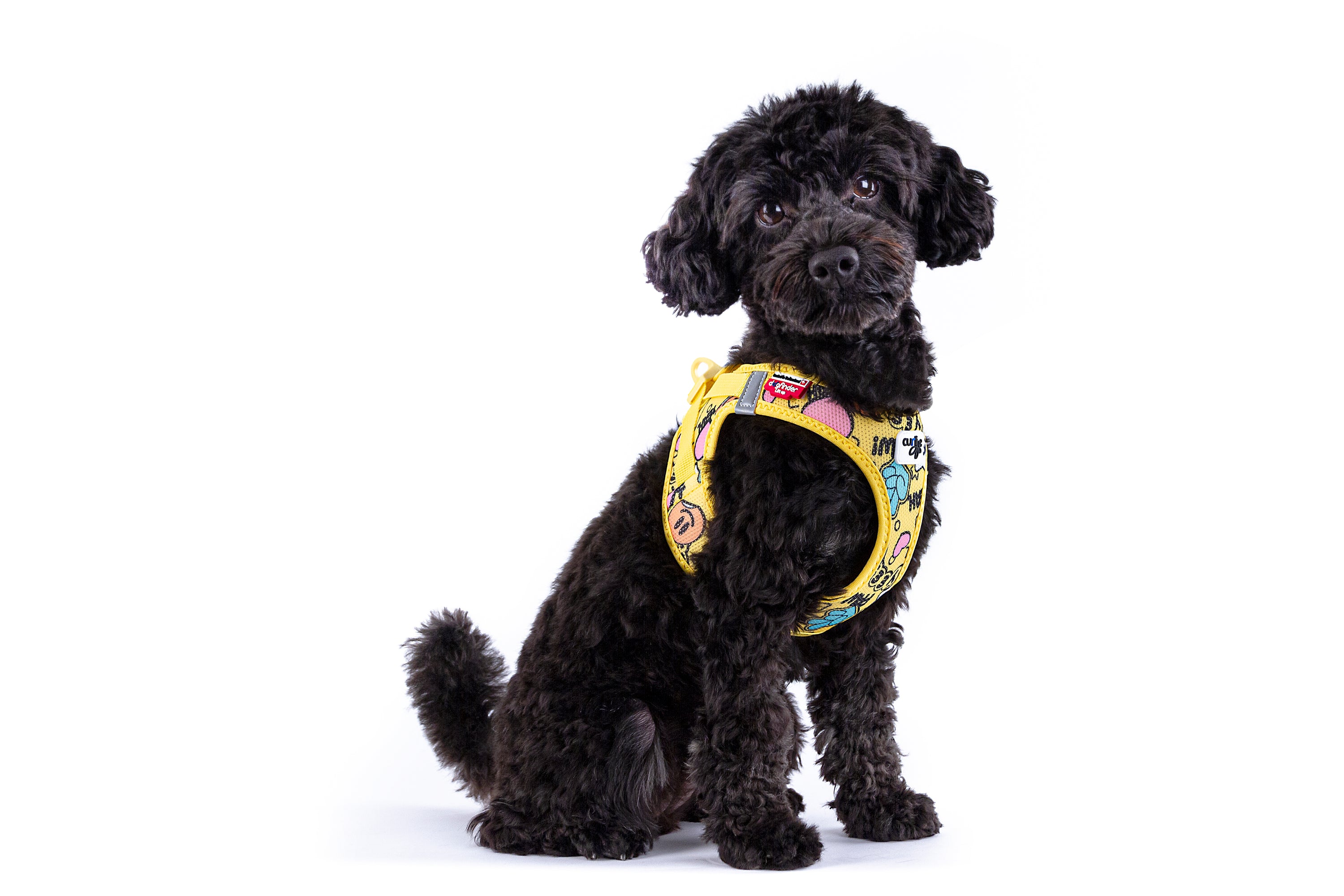 Curli Geschirr Clasp Air Mesh  Comic LE25