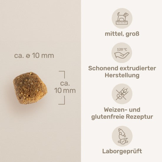 Das gesunde Tier Vitala