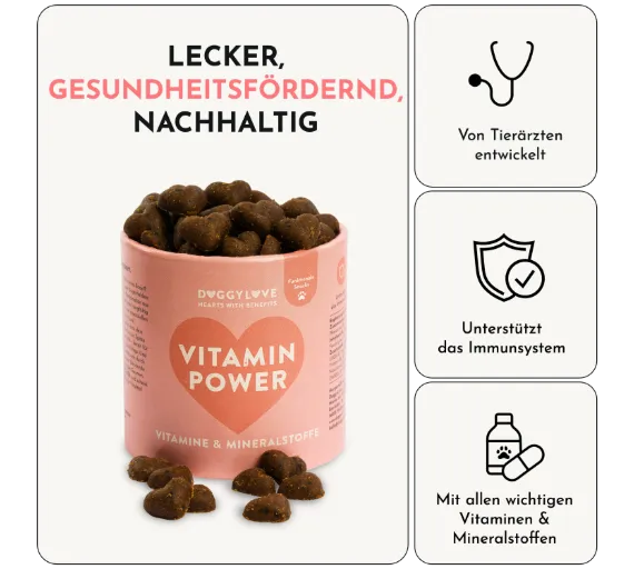 Orangene Dose mit Hundeleckerlis und Grafiken, die die Wirkung beschreiben