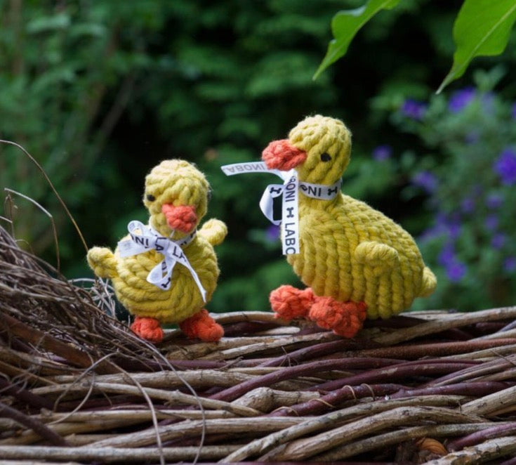 Zwei Enten die auf Baumzweigen sitzen