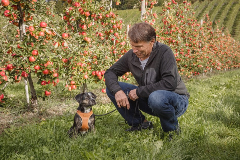 Mann schaut hockend eine kleinen schwarzen Hund an