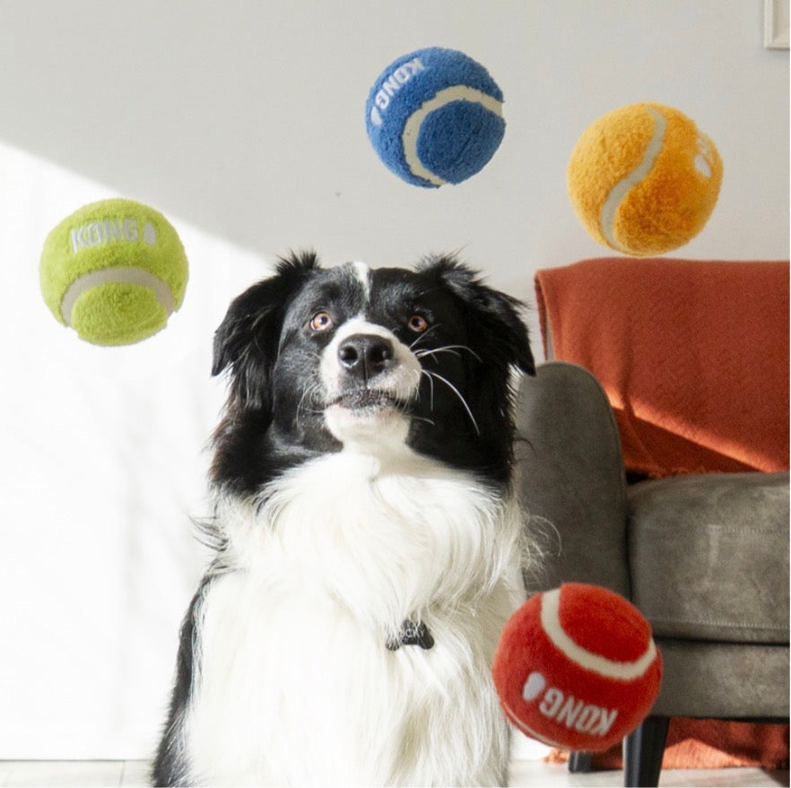 Hund schaut sich die fliegenden KONG Softies Sport Bälle an