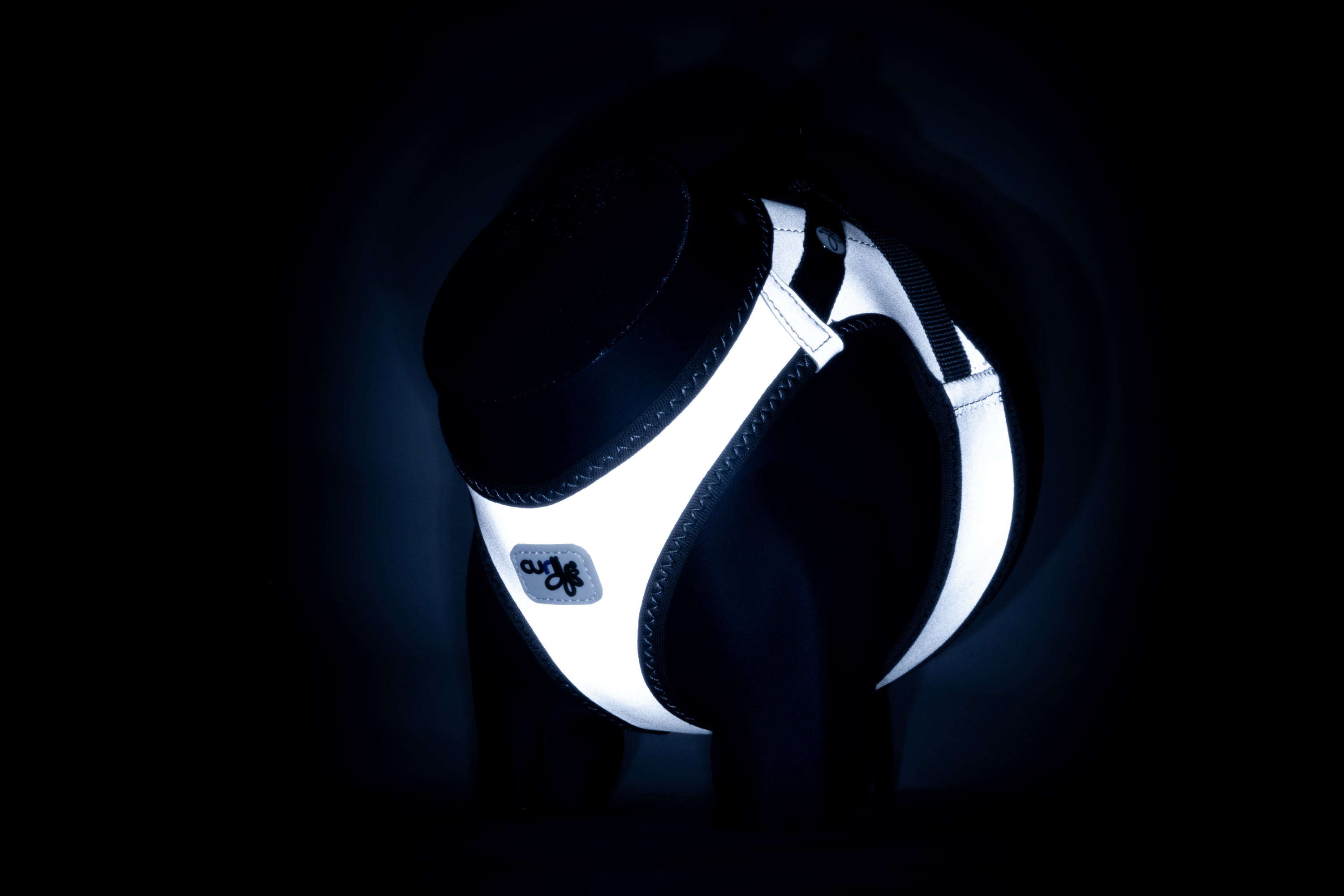 reflektierendes Hundegeschirr an einer Ausstelllungspuppe