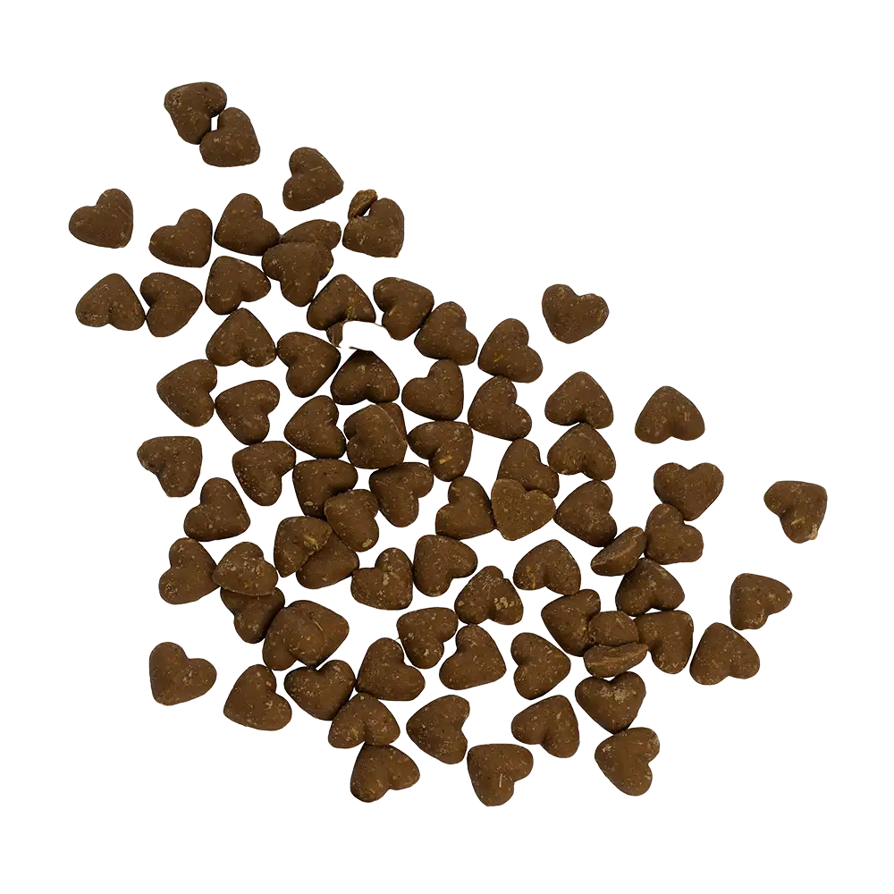 hingestreute herzförmige Hundeleckerls 