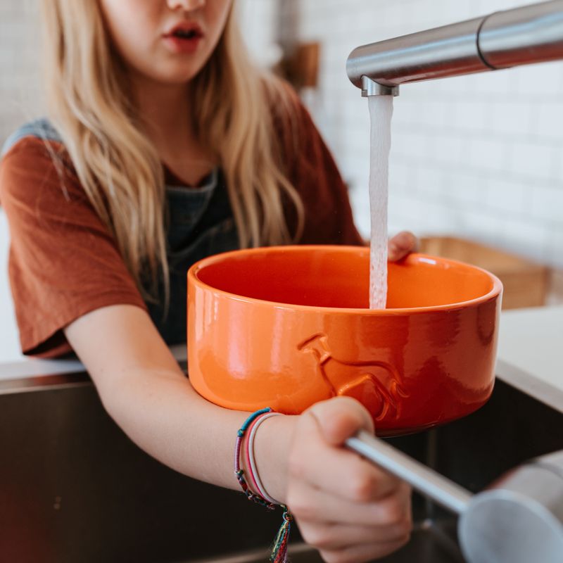 Mädchen füllt aus Wasserhahn Wasser in einen orangenen Hundenapf