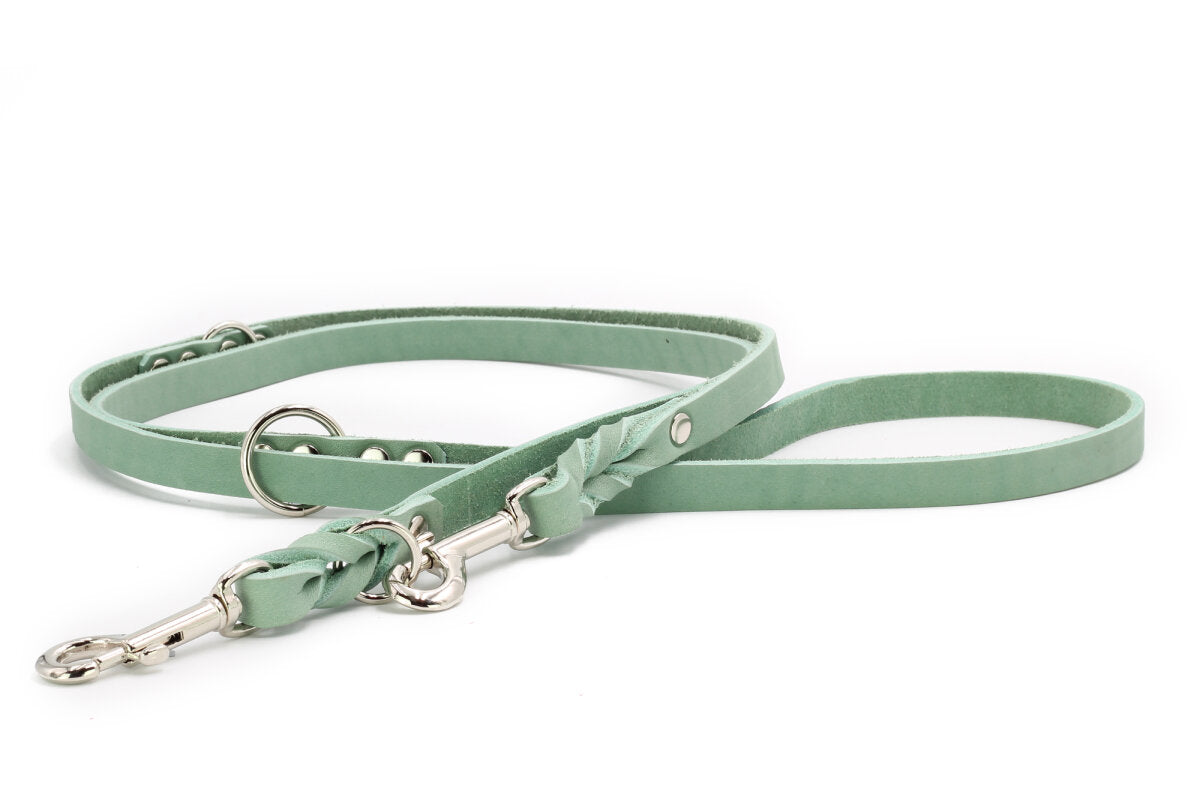 Mintfarbene Maul Mono Pop Lederleine für Hunde – verstellbar, weiches Rindsleder, silberne Metallbeschläge
